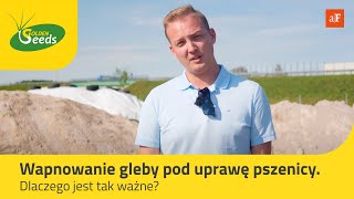 Wapnowanie gleby pod uprawę pszenicy. Dlaczego jest tak ważne?