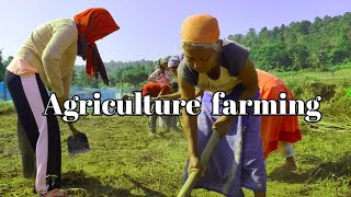 Agriculture farming