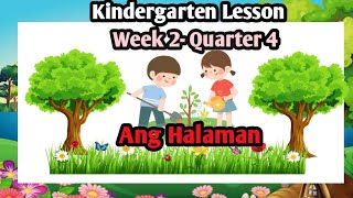 Week 2 Quarter 4 | Ang Mga Halaman | Kindergarten Lesson | MELC