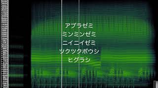 日本の蝉の声 音域ごとの棲み分け｜Analysis of Songs of Japanese Cicadas