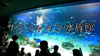 【サンシャイン水族館】子連れ＆長居大歓迎だけど雨の日☂️は楽しさ半減⁉️