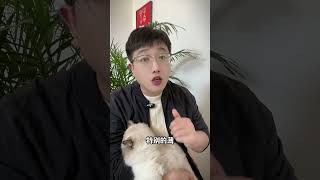 千万不要给猫洗澡