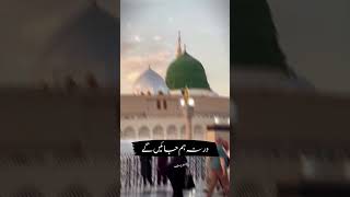 #mashallah #lastdayinmadina #ilovemadinasharif #subhanallhilaziwabehamdehi #madinayaadaatahai