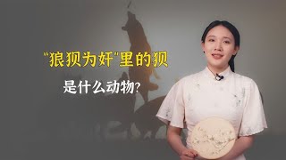 “狼狈为奸”里的狈，是什么动物？和狼相比到底谁厉害？