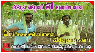 ఏడుగింజలతో  పొట్లకాయ  టన్నుల్లో దిగుబడి Maximize Your Yield with THESE 5 Simple Snake Gourd Secrets!