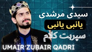 Syedi Murshdi || Ya Nabi Ya Nabi || Umair Zubair Qadri || Super Hit Kalam || Latest Naat || 2020-22