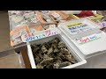 道の駅笠岡ベイファーム鮮魚コーナー12／12