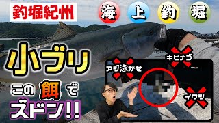 【海上釣堀】ブリ系青物狙い！アジがダメならこいつを泳がす！？