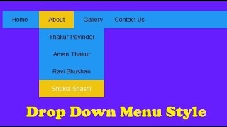 Drop Down menu with jQuery effect .