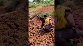 Watermelon | Aura Organic Farm-Pudukkottai