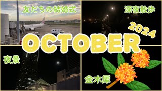 【2024年10月】夜の散歩多かった【vlog】