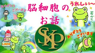 脳細胞のお話し～正観さんの言葉～2024 5 24～