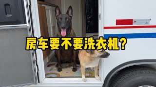 第290集/终于和狗子住进了房车，现在也不用自己洗衣服了，下雨天还可以听雨声和喝咖啡#救助流浪狗 #dog #艾倫