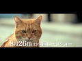 8 26公開！映画『ボブという名の猫　幸せのハイタッチ』予告編（60秒）