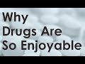 Why Drugs Are So Enjoyable - The Power Of Intoxication