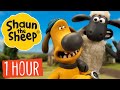 1 HOUR Compilation | Episodes 31-40 | Shaun the Sheep S1