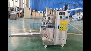 VER Imitation Handmade Dumpling Wonton Samosa Spring Roll Machine for Netherlands Customer