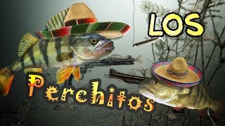 LosPerchitos - DropShot UL Perch Fishing with Tsurinoya Dexterity 632UL