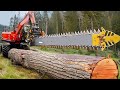 This Powerful Machine Surprises Even Foresters - Incredible Ingenious Woodworking Inventions
