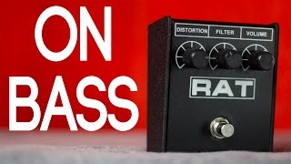 ProCo Rat2 [Bass Demo]