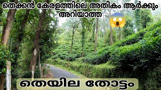 South Kerala tea estate AMBANAD HILLS kollam hidden tourist places