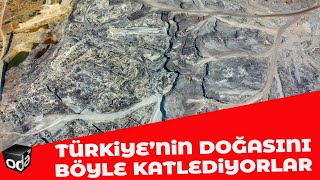 İşte Türkiye'nin Doğasını Böyle Katlediyorlar