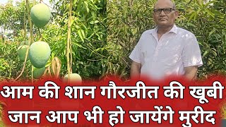 जानिए आम के राजा गौर जीत की क्या है खूबी, कैसे करें बागबानी Mango 🥭 Farming 🧺 से कमाई