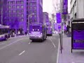 cool cttransit buses effects