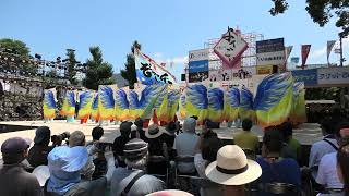 4K　ぞっこん町田’98　高知よさこい祭り全国大会2024　高知城