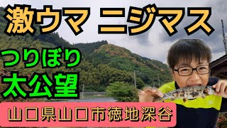 山口県【初心者🔰釣りバカ家族 🐟#14】自由兵2号と釣り堀でニジマスを喰らう@つりぼり太公望/山口県山口市徳地深谷