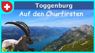 Unterwegs im Toggenburg | Sonnenaufgang auf dem Chäserrugg