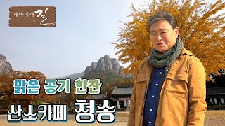 산속 카페 청송에서 맑은 공기 한 잔! 청송으로.. [테마기행 길]