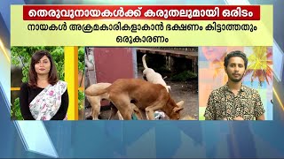 തെരുവുനായകൾക്ക് തലസ്ഥാനത്ത് ഇനി ഫീഡിങ് സ്പോട്ടുകൾ; ഫീഡ് ചെയ്യുന്നവർക്ക് പാസും | Stray Dogs