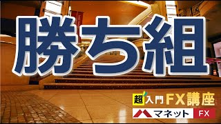 FXの勝ち組がトレードをする上で意識している3つのポイント