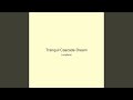 Tranquil Cascade Dream