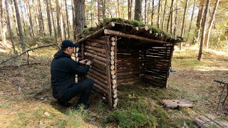 Building Bushcraft Survival Shelter | Solo Wild Camping | ASMR