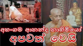 මරණයට කැපවූ ගවයන් 4599 නිදහස් කල අහංගම ආනන්ද නාහිමියෝ අපවත් වෙයි