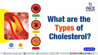 What are the types of cholesterol? | Cholesterol Type | #cholesterolawareness