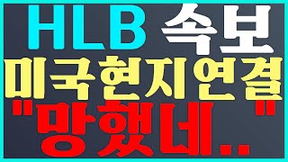 HLB 주가 전망 미국 현지 연결 \