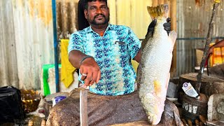 BIG ORIGINAL KODUVA BARRAMUNDI FISH CUTTING VIDEO CUTTING FOCUS 🔪