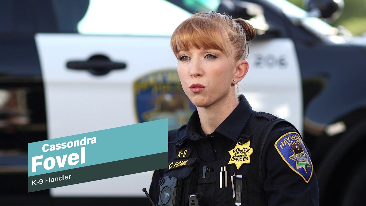 Becoming A Police Officer In California - Join The Hayward Police ...