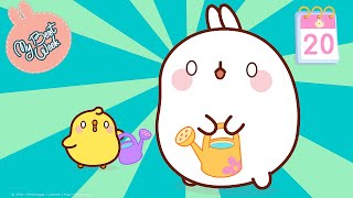 Molang and Piu Piu - The last week of their Best Weeks