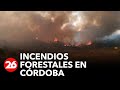 Incendios forestales en Córdoba