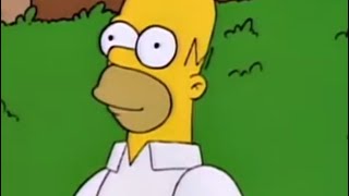 The Simpsons - The Homer Bush GIF Meme Scene