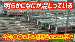 【紛れ込んだE231系】無事京葉線で湘南色のE231系の〇〇が終了…