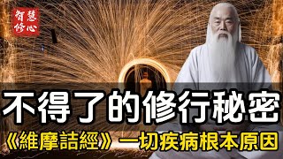 《維摩詰經》 一切的疾病的根本原因....,不得了的修行秘密，價值千金#智慧修心 #修行 #福報 #禪修  #養生 #健康 #zen