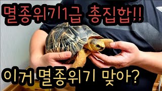 조만간 멸종위기종 1급 농장이 생길거 같습니다!!!!여기 다있네요!!!!