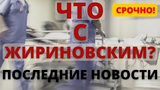 В ЛДПР рассказали о состоянии Жириновского