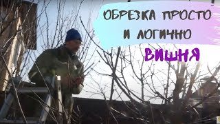 Обрезка вишни. Просто и логично.