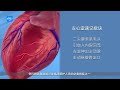 【anatomy world】left ventricle 【解剖世界】左心室